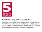 Audi SQ5 3.0 TDI competition quattro 240(326) kW(PS) tiptronic